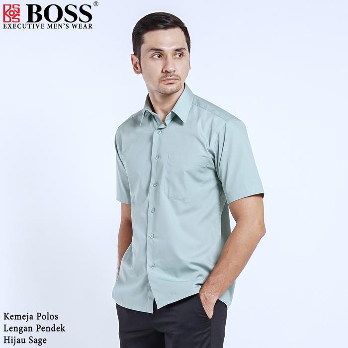 Gambar BOSS Kemeja Polos Pria Lengan Pendek Regular Fit Hijau Sage - Hijau Sage, 14½ / S dari Kemeja BOSS Store undefined Tokopedia