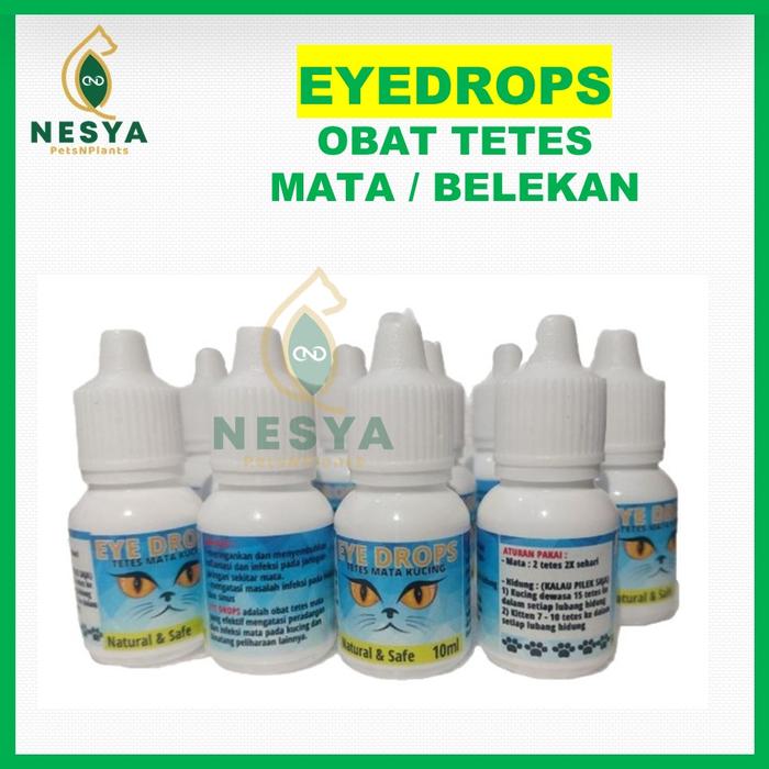Gambar Obat Tetes Mata Kucing EYE DROPS 0,5% Cloramphenicol Basa untuk Sakit Mata, Belekan, Iritasi, Infeksi Berair dari Nesya PetsNPlants undefined Tokopedia