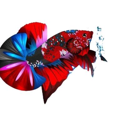 Gambar stiker gambar tempel ikan cupang dari usemardiyan.tk undefined Tokopedia