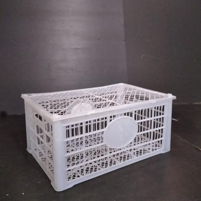 Gambar Keranjang plastik bekas buah kondisi bagus - Biru Muda dari NoNing Store undefined Tokopedia