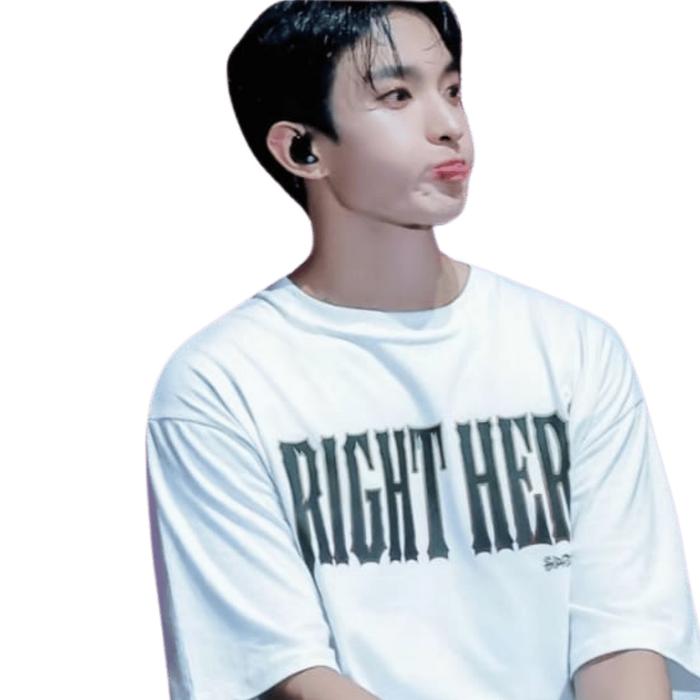 Gambar T SHIRT 17 RIGHT HERE KAOS SVT RIGHT HERE KONSER T SHIRT CARAT SEVENTEEN CONCERT SEVENTEEN EXSLUSIVE SIZE M-XXL - M LD 105 BB 45-60, HITAM dari KPOP ADDICT 3 undefined Tokopedia