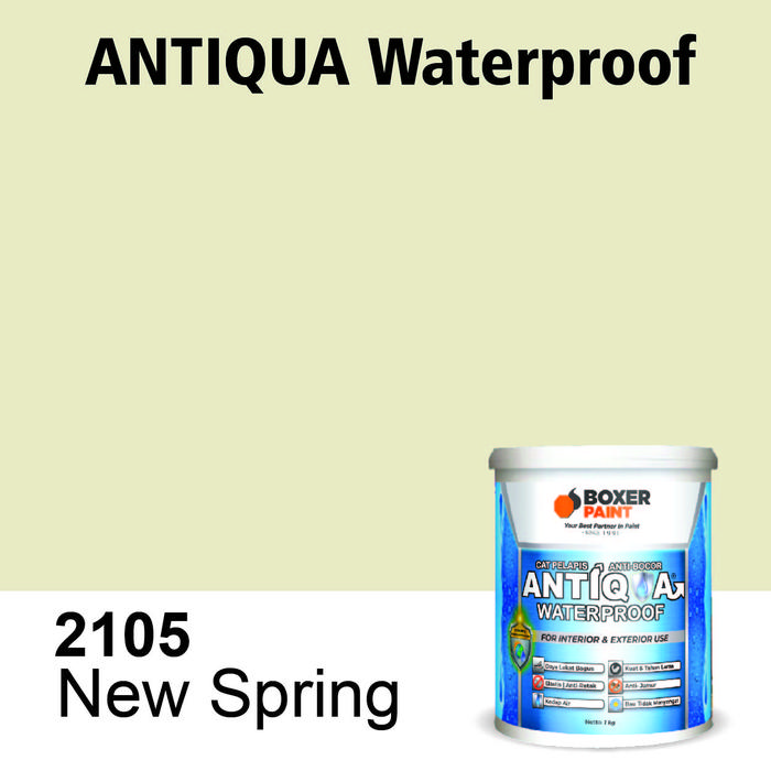 Gambar (20 KG) Cat Anti Bocor Anti Lembab ANTIQUA Waterproof - 2105 New Spring dari Boxer Paint Official Store undefined Tokopedia