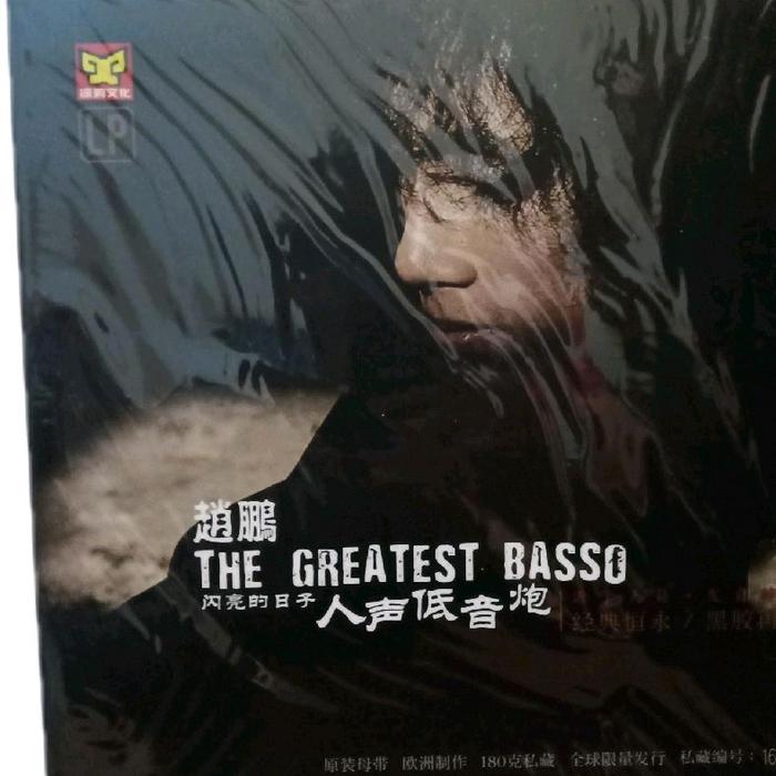 Gambar LP Vinyl Zhao Peng  - the Greatest Basso dari sc36 undefined Tokopedia