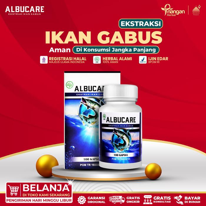 Gambar Albucare herbal kapsul kutuk ekstrak ikan gabus asli isi 100 kapsul dari Priangan Herbal undefined Tokopedia