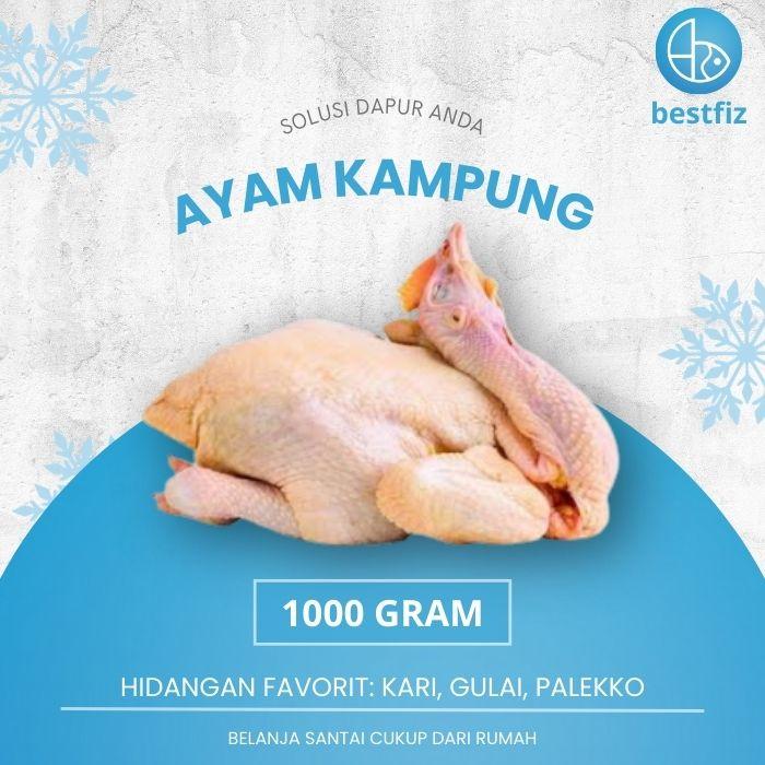 Gambar Ayam Kampung 1 Ekor (Tanpa Hati dan Ampela) dari bestfiz makassar undefined Tokopedia