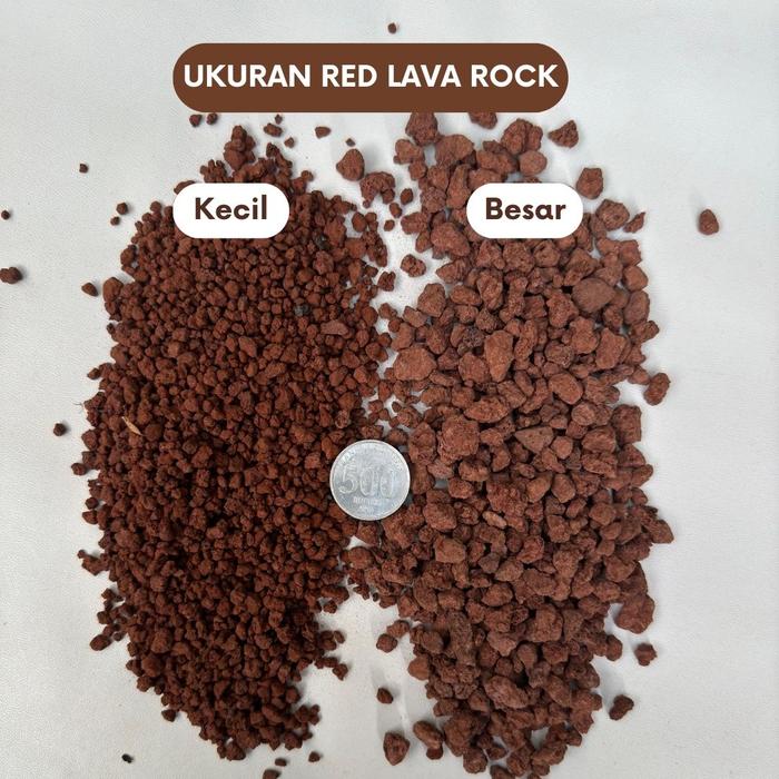 Gambar Workplant - Red Lava Rock Pasir Malang Merah Vulcanic Soil Media Tanam Porous Sudah Bersih Siap Pakai Bebas Busuk Akar - Besar dari workplant official Kota Surabaya Tokopedia