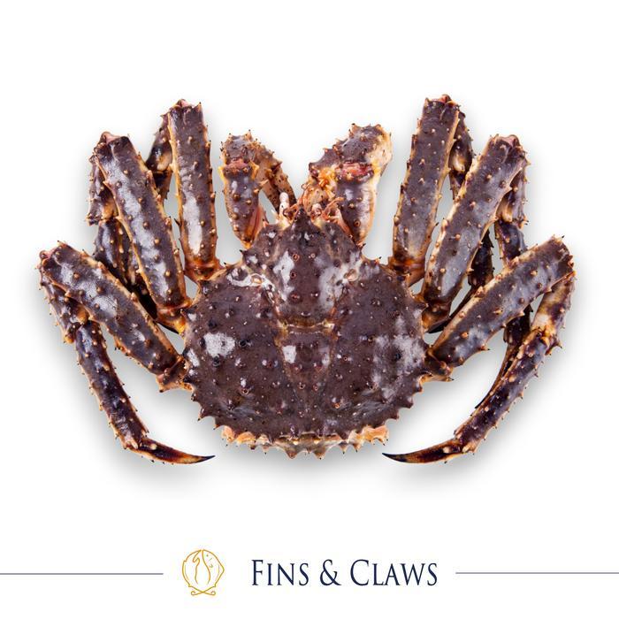 Gambar Ready Live Whole Alaskan King Crab Ready Ya Kak - 3 Kg dari ExoFishing Biota undefined Tokopedia
