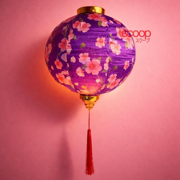 Gambar Scoop Lampion Bulat Imlek Chinese New Year Peranakan 65060100 - 05 dari Scoop Ideas undefined Tokopedia