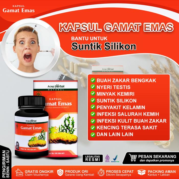 Gambar Gamat Emas Kapsul Suplemen Kesehatan BPOM & Halal MUI Untuk Membantu Mengatasi Suntik Silikon Buah Z@kar Bengkak Nyeri T3stis Minyak Kemiri Penyakit K3lamin Dll dari Natural Herbal undefined Tokopedia
