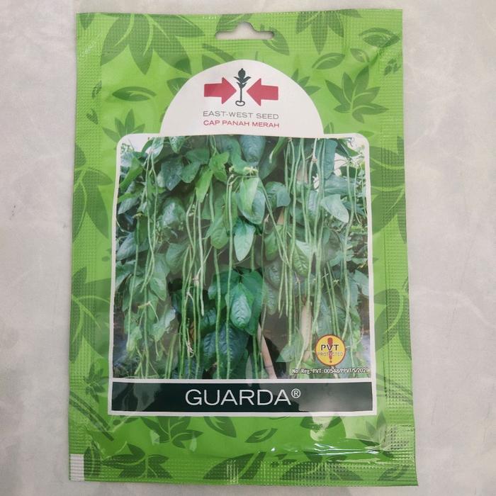Gambar Benih KACANG PANJANG  GUARDA F1 200 Biji  East West Seed Cap Panah Merah SMALL POUCH dari Hoki Jaya Shop Indonesia undefined Tokopedia