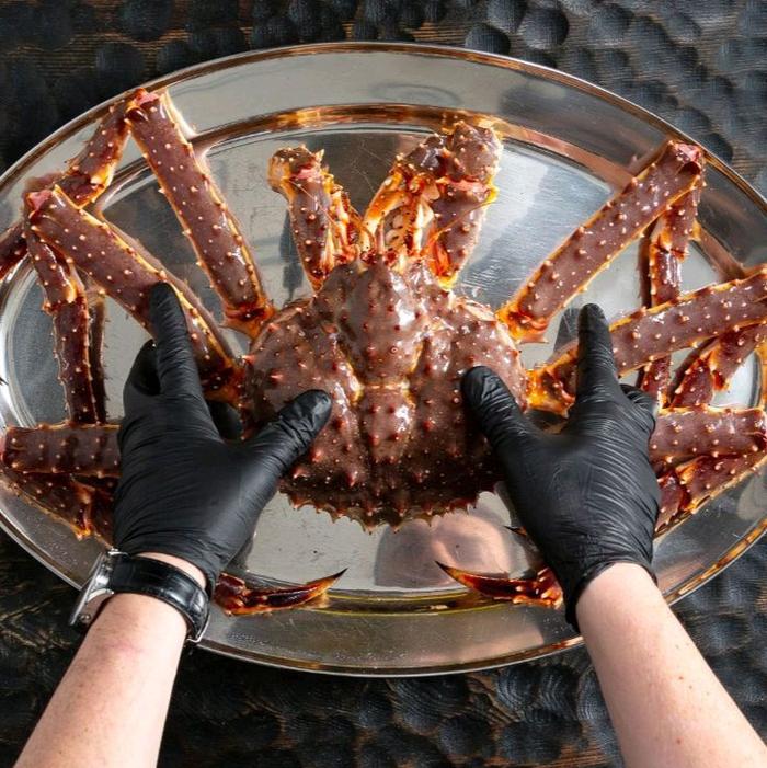 Gambar Raja Kepiting Alaska (king Crab) Frozen Ukuran Besar - Alaska King Crab Fresh Frozen 2kg-3kg Perekor dari PT RIVEL FOOD INDONESIA undefined Tokopedia