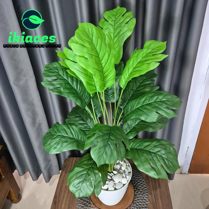 Gambar DAUN KELADI PLASTIK JUMBO POHON SUKUN ARTIFISIAL DEKORASI TANAMAN HIAS POJOKAN RUMAH POHON HIAS TINGGI DEKORASI BUNGA PLASTIK - POT PUTIH dari ikiaces undefined Tokopedia