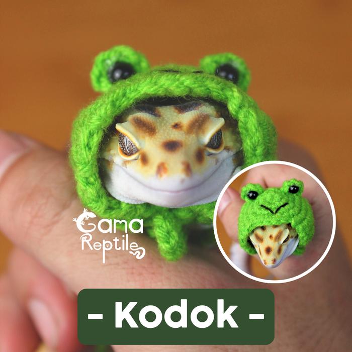 Jual Topi Rajutan Khusus Leopard Gecko | GamaReptile Product - Kodok ...