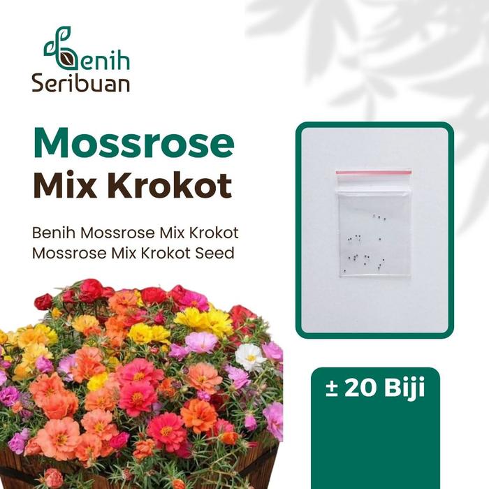 Gambar Benih Seribuan - 20 Bibit Bunga Mossrose Mix Krokot Unggul - MOSSROSE KROKOT dari Benih Seribu Jaktim undefined Tokopedia