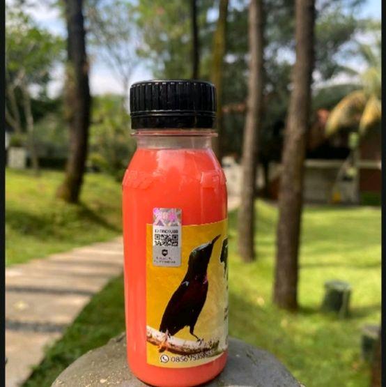 Gambar GLEDEK NEKTAR NEXTAR NECTAR PINK PAKAN BURUNG KONIN KOLIBRI SOGON dari Fadil jaya bird undefined Tokopedia