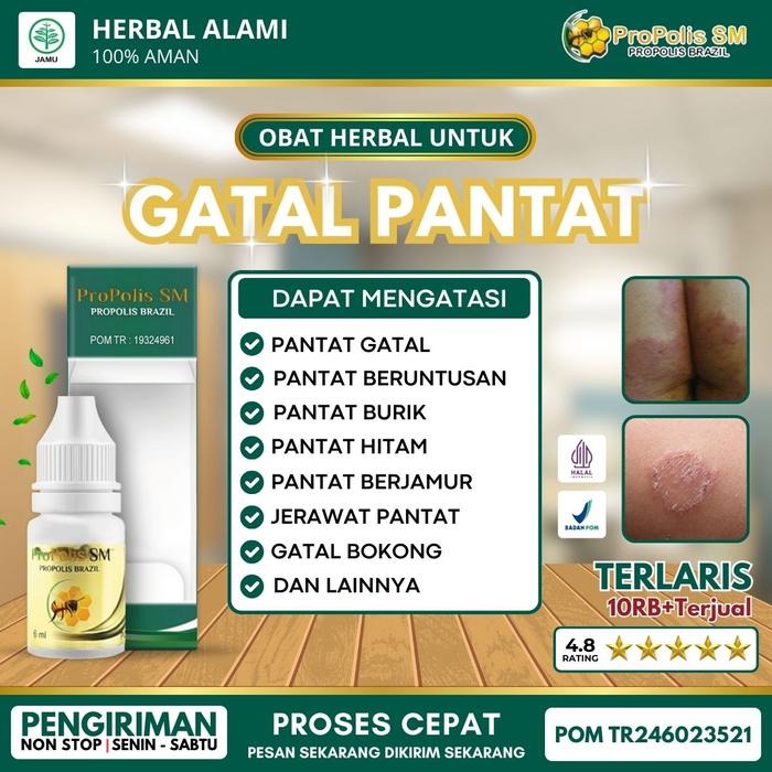 Gambar Salep Gatal Pantat, Pantat Burik, Penghilang Bekas Koreng Di Pantat, Pantat Bruntusan, Bintik Merah Pantat, Koreng Hitam Di Pantat, Pantat Hitam Dan Gatal, Pemutih Pantat Hitam, Jerawat Pantat, Jerawat Bokong, Bokong Bruntusan dari Rino Herbal Shop undefined Tokopedia
