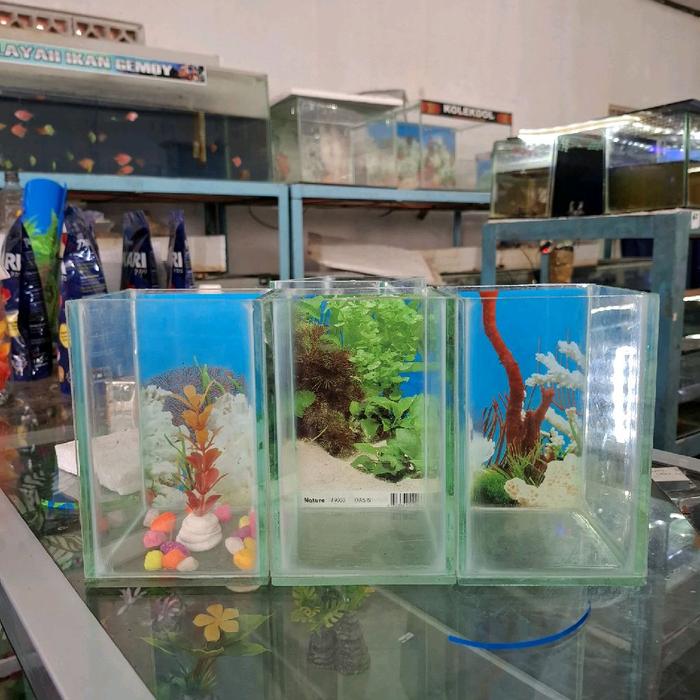 Gambar aquarium 10x10x15cm plus background, bonus baru hias dan tanaman hias cantik dari ZRILLL03 undefined Tokopedia