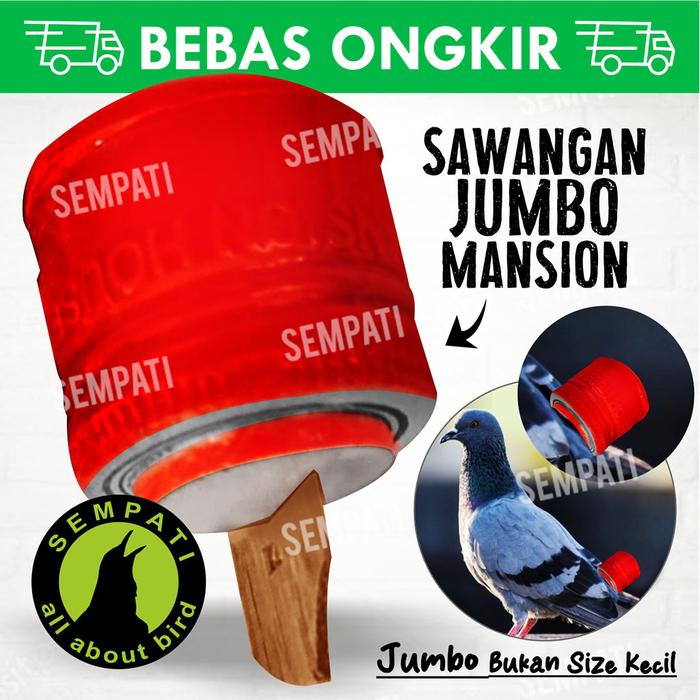 Gambar SEMPATI Sawangan Merpati Jumbo Mansion 2 Lubang Hotang Hatong Sulingan Sempritan Angkrik Siulan Pluit Peluit Lomba Pos Tomprang Kolong Burung Dara Doro dari Sempati Bird Shop undefined Tokopedia