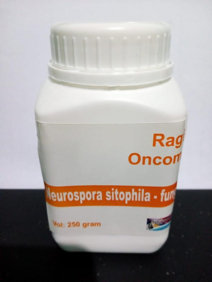 Gambar NEW JUAL RAGI ONCOM MERAH 250 GRAM ORI dari MADINAH DJAYA undefined Tokopedia