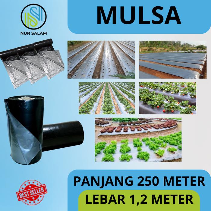 Gambar ( Plastik Pertanian ) Plastik Mulsa Hitam Perak 1ROLL ( Panjang 250 Meter x Lebar 1,2 Meter ) Tanaman dari Nur salam_NEW undefined Tokopedia