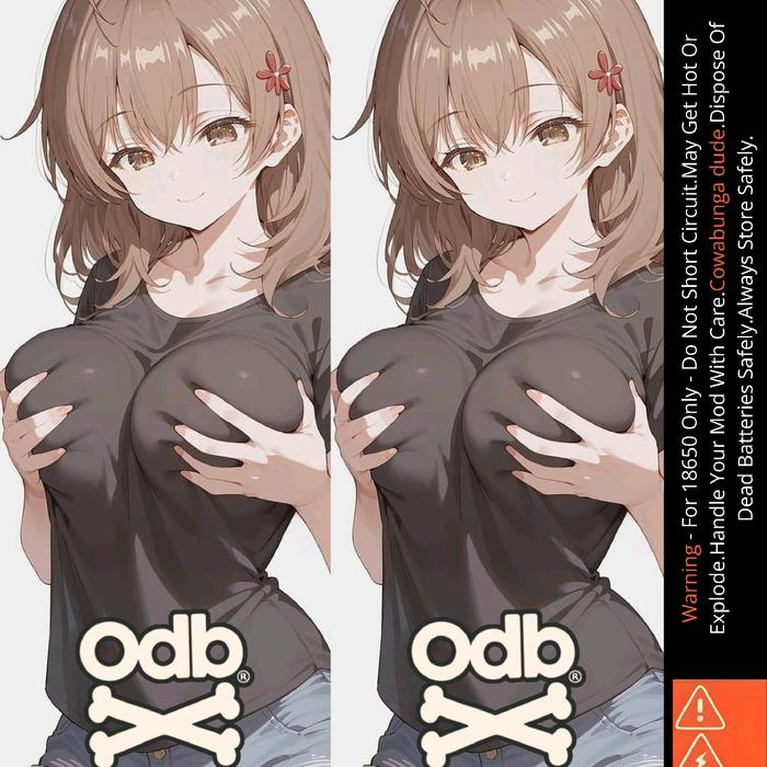 Gambar Stiker Skin Wrap Baterai 18650 Motif Waifu V2_2 Series - Pelindung dan Penghias Baterai 18650 Untuk Segala Merek Baterai Plastik isi 1pcs - 1 dari AmbitionStore undefined Tokopedia