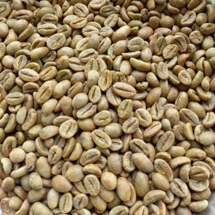 Gambar Green Bean  Kopi Robusta Lahat dari kopi Serambi undefined Tokopedia