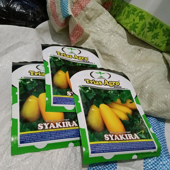 Gambar Benih Buah Timun Suri Jumbo Bangkok Syakira F1 (Tahan Virus, Tahan penyakit dan Produksi Tinggi) Isi 10 gram biasanya (600-900 butir) Kadaluarsa. 2026 - Disukai Masyarakat, Benih Trias Agro dari ELANG TANI MANDIRI undefined Tokopedia