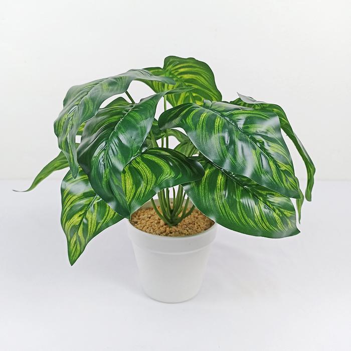 Gambar UNICO Pot Bunga Daun Talas Artificial Daun Keladi Plastik Dekorasi Rumah Hiasan Meja PBP09 DAUN 3 - DAUN 3 dari UNICO.indonesia undefined Tokopedia