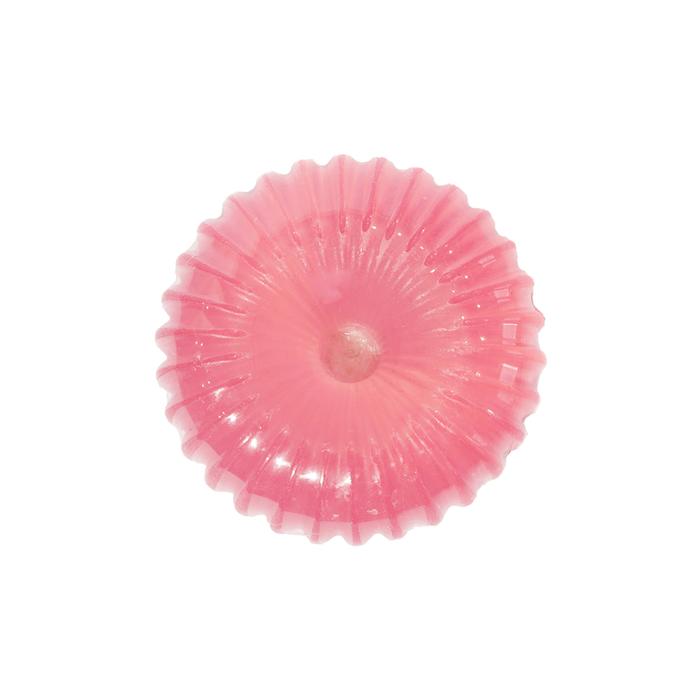 Gambar Jacquelle Beginner Dream Big 20 Brush Set Kuas Wajah untuk Pemula - Brush Soap dari Jacquelle_ID undefined Tokopedia