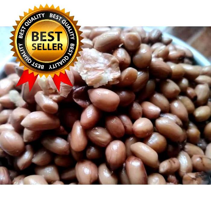 Gambar KACANG PRESTO UMPAN MANCING IKAN UMPAN BAWAL GALATAMA 250Gram dari AnugerahSantri_NEW undefined Tokopedia