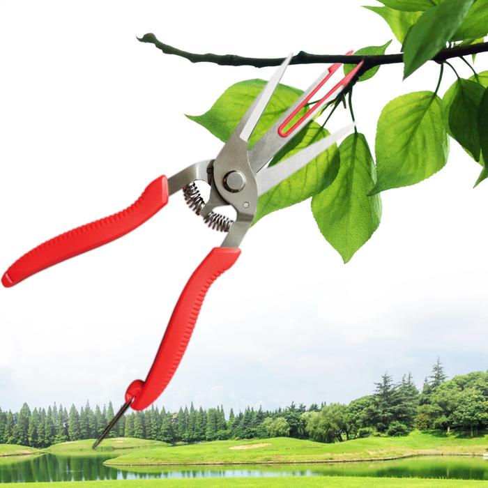 Gambar Double-edged Apple Picking Scissors Kiwi Pear Thinning Scissors Double Mouth Design Thin Fruit Picking Scissors Garden Hand Tool dari PANPANG KERUPUK TERRBRARRU undefined Tokopedia