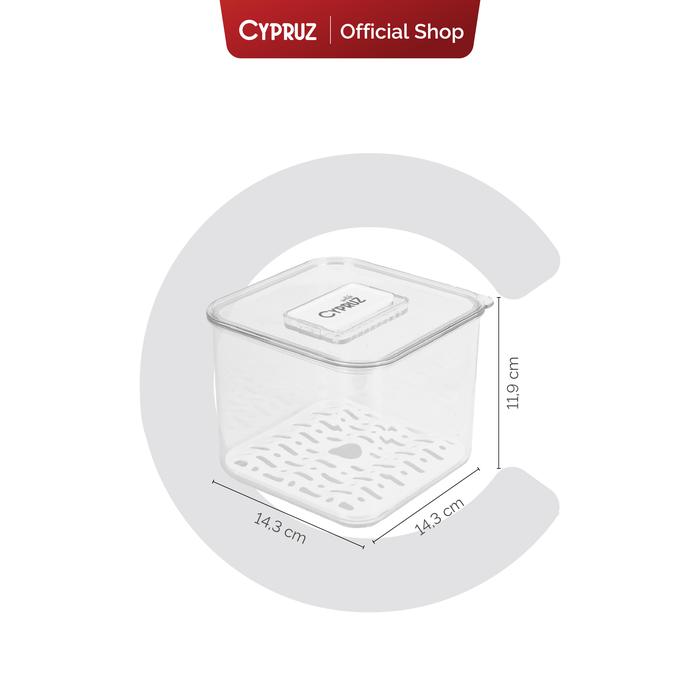 Gambar [SPESIAL KOKO PANCI] [COD] Cypruz Storage Bin with Drain Board - Small dari Cypruz Kitchenware undefined Tokopedia