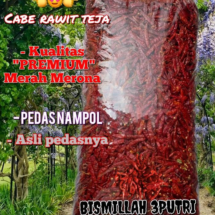 Gambar promo !! cabe rawit kering teja japlak kualitas 'PREMIUM' super asli pedas Alami 1kg Food dari Toko bismillah 3putri_NEW undefined Tokopedia