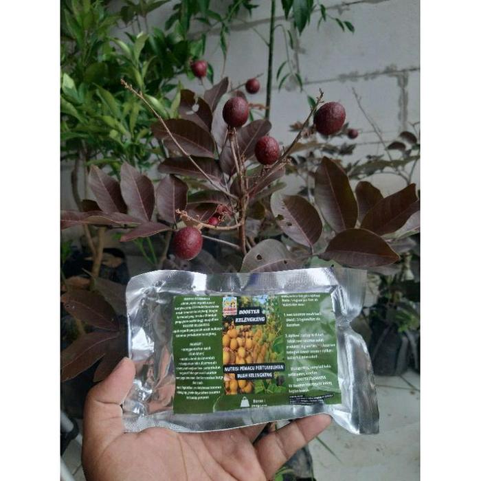 Gambar kopi bubuk robusta 250 gram - Booster pete dari berkah alam sentosa_NEW undefined Tokopedia