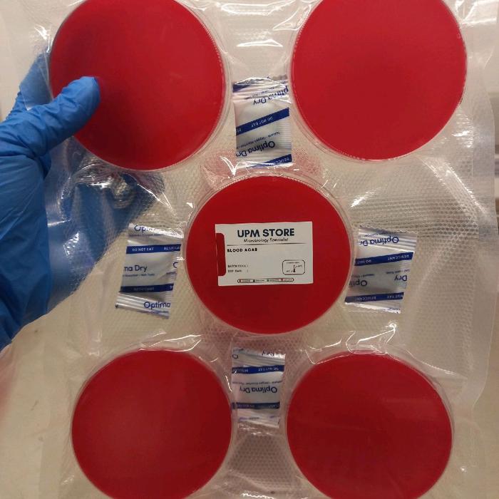 Gambar Blood Agar Plate/PAD/Plat Agar Darah - siap pakai - isi 5 dari UPM STORE undefined Tokopedia