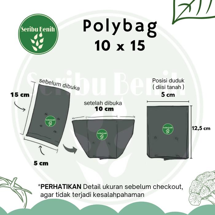 Gambar 1 Lembar Polybag UKURAN SEDANG Polibag Tanaman Tebal 25x25 30x30 35x35 Murah Berkualitas - 10x15 dari Seribu Benih undefined Tokopedia