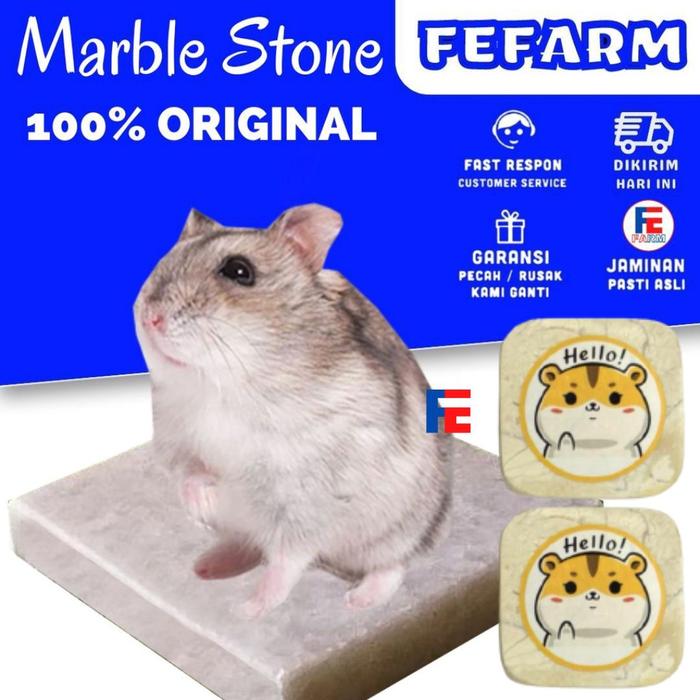 Jual Hamster Cooling Pad Marble Tempat Tidur Dingin Kotak Dwarf