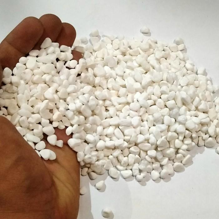 Gambar Batu putih media dekorasi aquarium import - 500gr dari Gibran D undefined Tokopedia