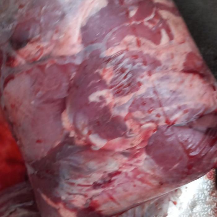 Gambar Daging Babi Hutan Segar / 1kg - 1kg, Giling dari Handim Kusaka undefined 2 Tokopedia