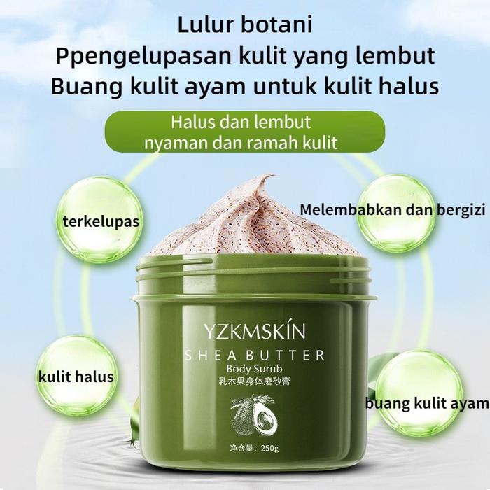 Gambar Lulur pemutih badan Scrub wajah 250g Scrub badan Peeling Kulit Ayam Exfoliating  Whitening Shea Butter Scrub whitening body lotion  Memberi nutrisi pada kulit dari Mifi Stored undefined Tokopedia