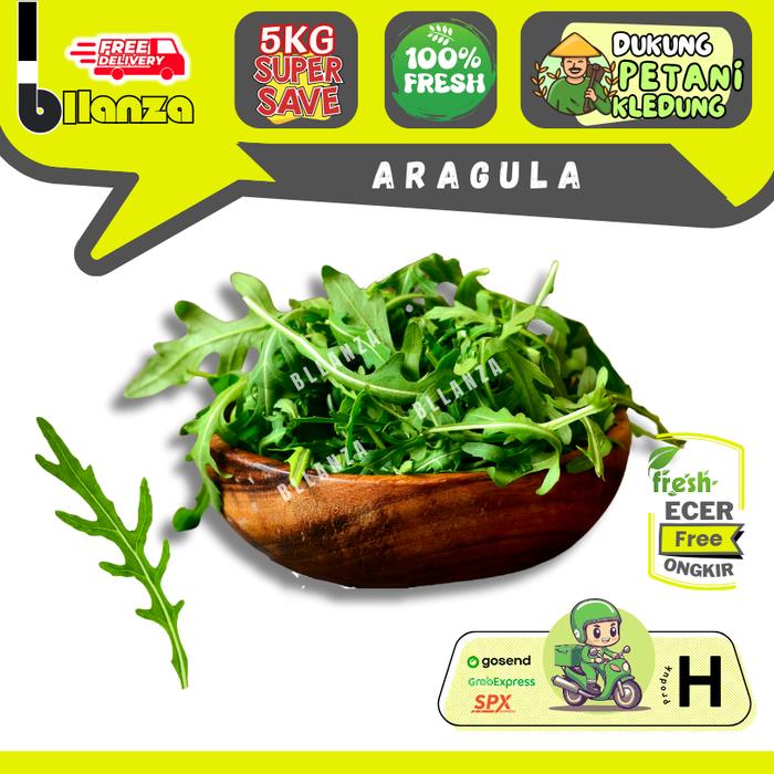 Gambar Bllanzanow | Arugula Wild Rocket Rucola Fresh — Sayur Gunung ECER - Arugula 200g dari Bllanzanow undefined Tokopedia