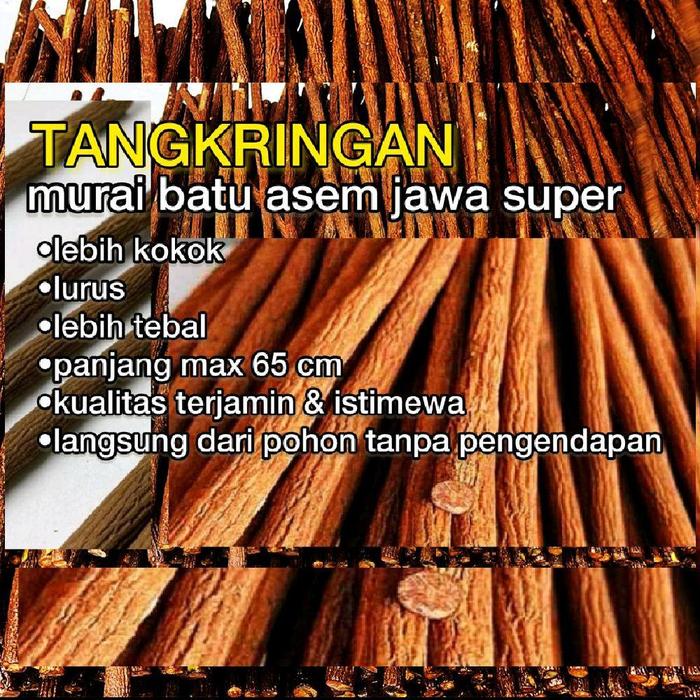 Gambar Tangkringan Pangkringan Asem Jawa Super Murai Batu Kacer Cucak Ijo Kenari Lovebird dari PENGGACOR SEKETIKA undefined Tokopedia