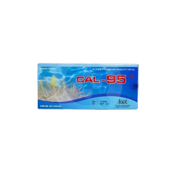 Gambar CAL-95 Box Isi 30 Kaplet - Suplemen Kalsium Untuk Ibu Hamil dan Lansia / Vitamin Ibu Hamil dari Generasi Sehat01 undefined Tokopedia