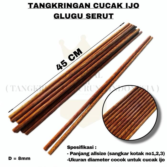 Gambar Tangkringan Cucak ijo Glugu serut 8mm dari Sekedar.Hobby undefined Tokopedia