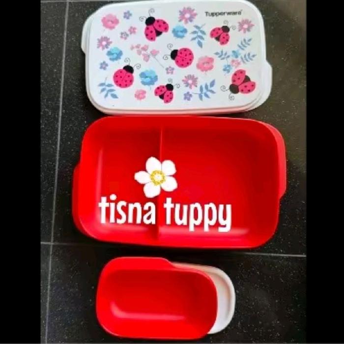 Gambar Foodie buddy kotak makan bekal tupperware malaysia kumbang (tanpa tas) - merah putih dari TISNA TIESNA SHOP undefined 3 Tokopedia