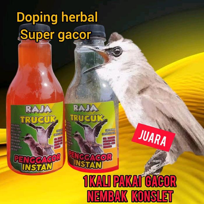 Gambar Raja trucuk , doping penggacor trucuk bahan dan macetan Dijamin burung trucuk jadi gacor konslet dari nuline undefined Tokopedia
