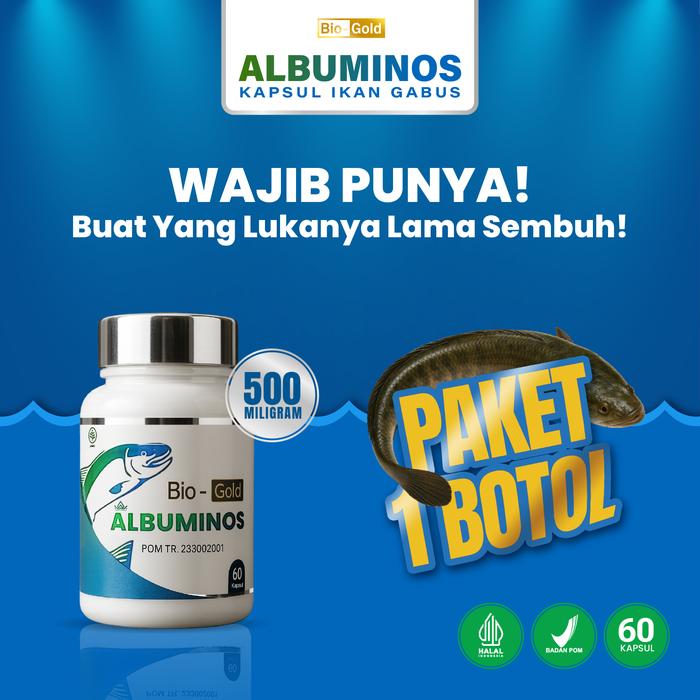 Gambar Kapsul Albuminos Ekstrak Ikan Gabus Sari Kutuk Untuk Percepat Penyembuhan Luka Isi 60 Halal BPOM - 1 Botol dari Habbasyi Oil undefined Tokopedia