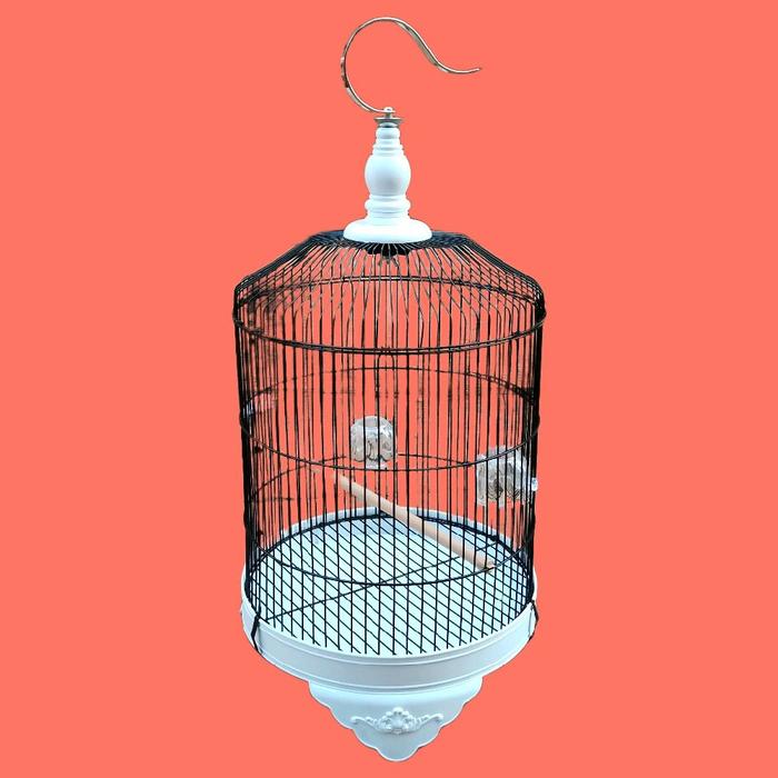 Gambar SANGKAR BESI DM 30 MODEL BARU KUBAH MERK F1 SANGKAR BURUNG KONIN,SOGON, PRENJAK,PARKIT, CIBLEK,PLECI - PUTIH dari shanum poultry shop undefined Tokopedia