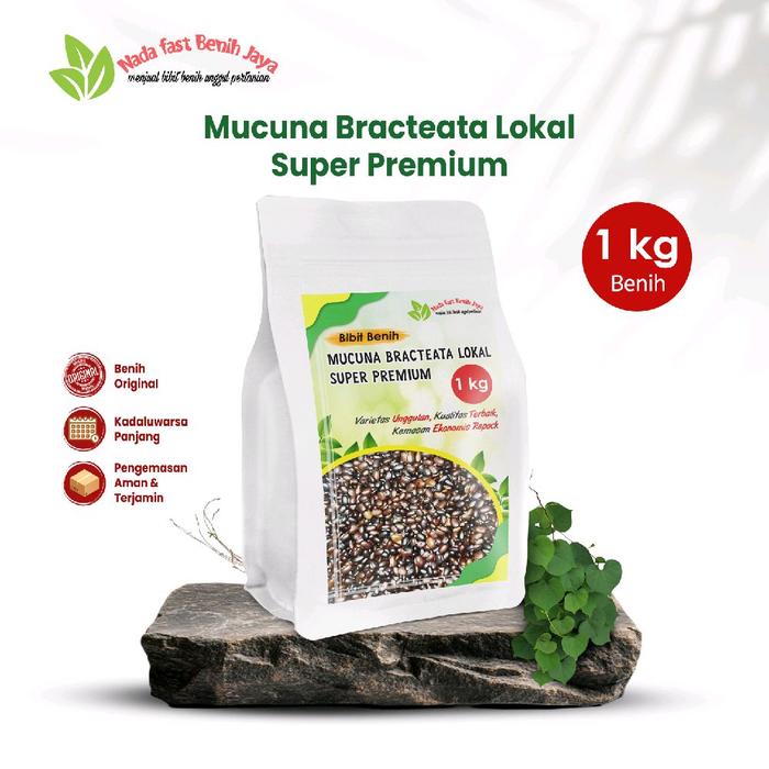 Gambar 1 Kg Benih MB Daun lebar Mucuna Bracteata lokal premium Pupuk Tanaman dari Nada fast benih jaya undefined Tokopedia