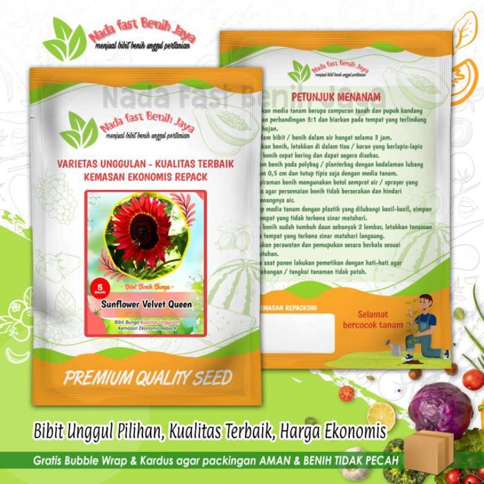 Gambar Benih Bibit Bunga Matahari Merah Sunflower Velvet Queen / biji bunga sunflower ( 5 biji Nada fast ) Tanaman - Varian, Standar dari Nada fast benih jaya undefined Tokopedia